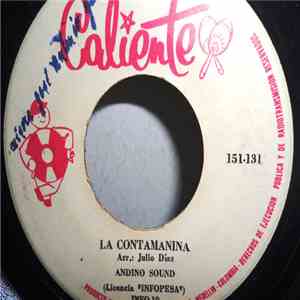 Andino Sound / Palo Santo - La Contamanina / El Condor Pasa download free