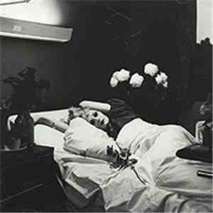 Antony And The Johnsons - I Am Bird Now download free