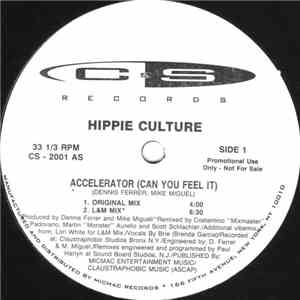 Hippie Culture - Accelerator (Can You Feel It) download free