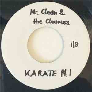 Mr. Clean And The Cleansers - Karate download free