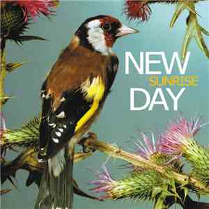 New Day  - Sunrise download free