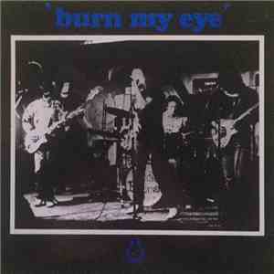 Radio Birdman - Burn My Eye download free