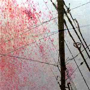 Reflections From Nowhere - Electrical Disharmony download free