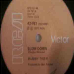 Shabby Tiger - Slow Down download free